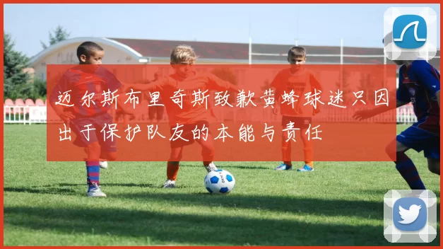 迈尔斯布里奇斯致歉黄蜂球迷只因出于保护队友的本能与责任