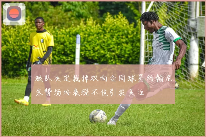 狼队决定裁掉双向合同球员约翰尼朱赞场均表现不佳引发关注