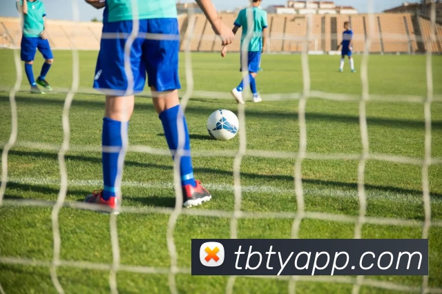 天博体育APP平台生态图